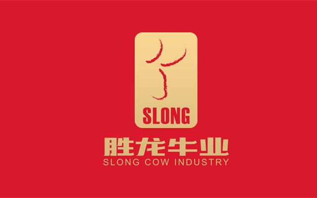 勝龍牛業牛肉品牌策劃