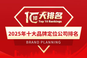 2025年十大品牌定位公司排名