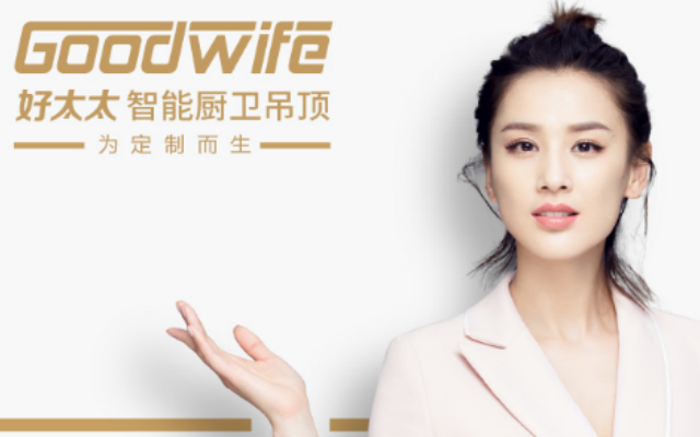 好太太電器品牌策劃