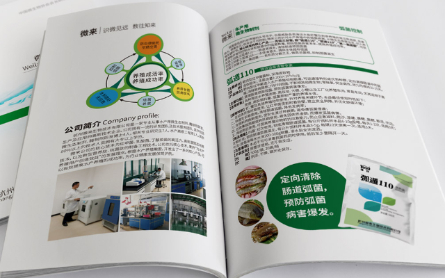 杭州微來生物技術品牌設計