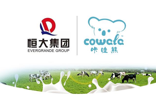 恒大咔哇熊奶粉品牌設計