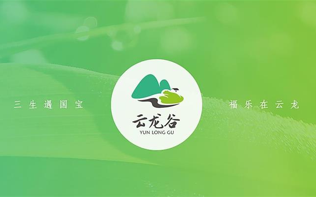 云龍谷景區品牌設計