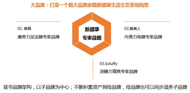 斯柔菲品牌策劃案例