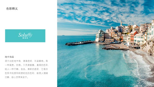 斯柔菲品牌策劃案例