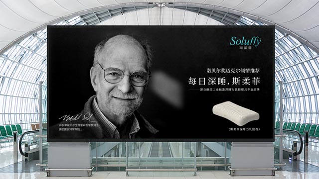 斯柔菲品牌策劃案例