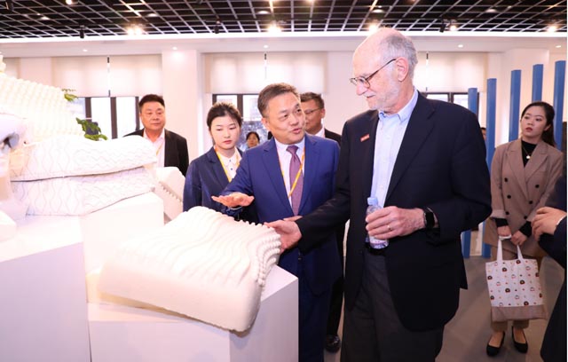 斯柔菲品牌策劃案例