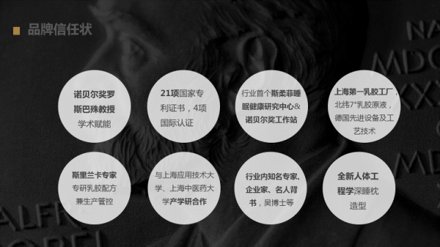 斯柔菲品牌策劃案例