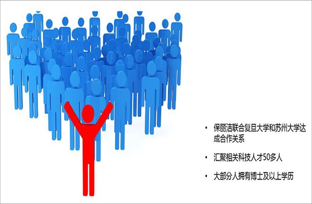 保麗潔品牌全案策劃案例