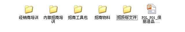 保麗潔品牌全案策劃案例