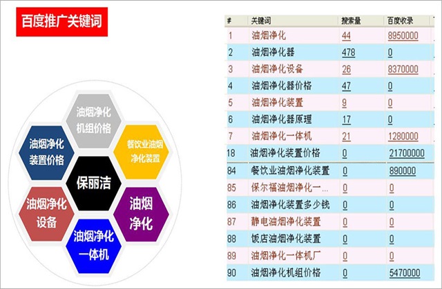 保麗潔品牌全案策劃案例
