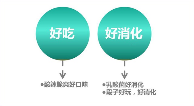 雙匯品牌全案策劃案例