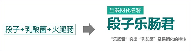 雙匯品牌全案策劃案例