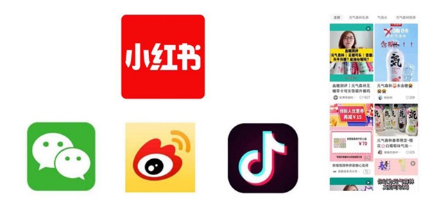 元氣森林公關傳播