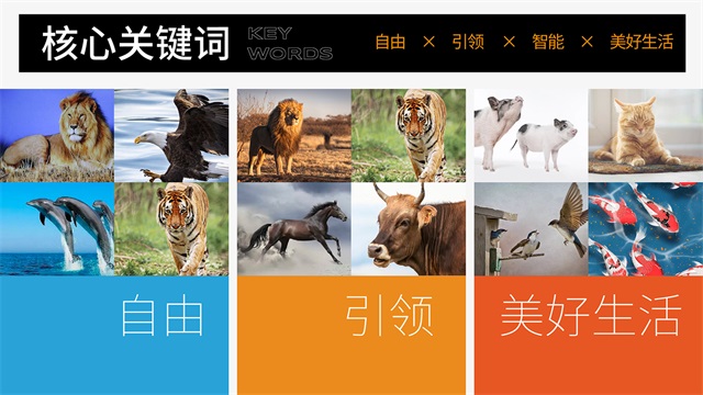 福瑞-深圳衛浴品牌IP設計案例