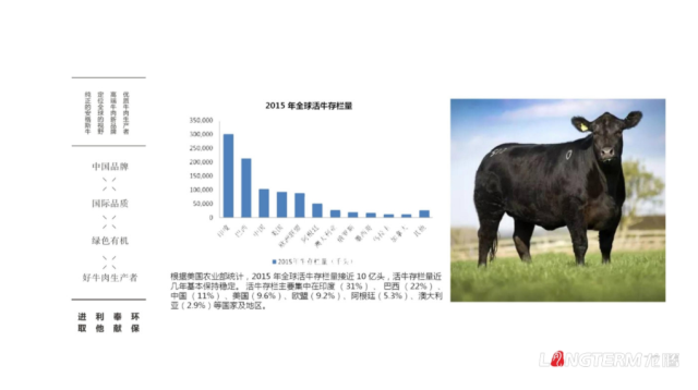 蜀道元牛牛肉品牌策劃設計案例