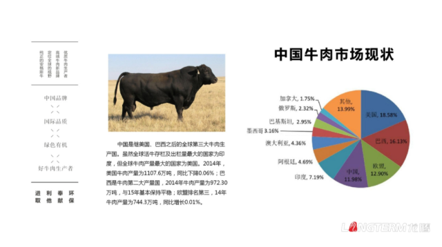 蜀道元牛牛肉品牌策劃設計案例