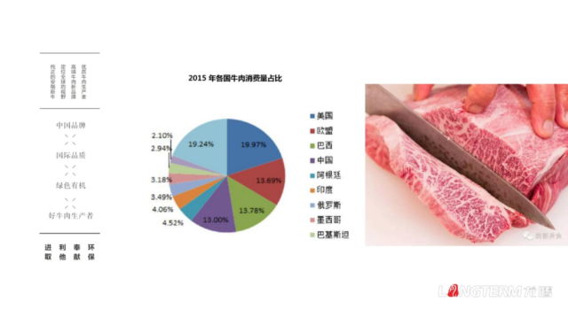 蜀道元牛牛肉品牌策劃設計案例
