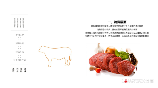 蜀道元牛牛肉品牌策劃設計案例