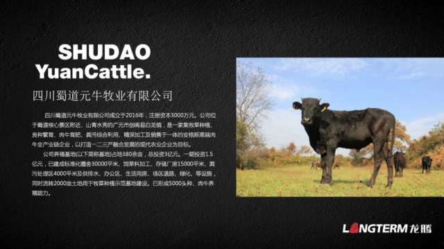 蜀道元牛牛肉品牌策劃設計案例