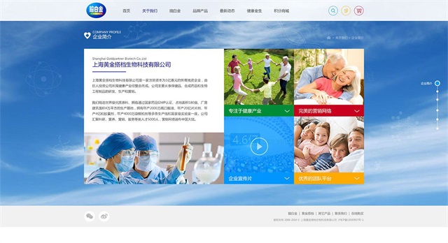 腦白金保健品網站建設案例