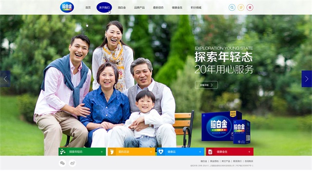 腦白金保健品網站建設案例