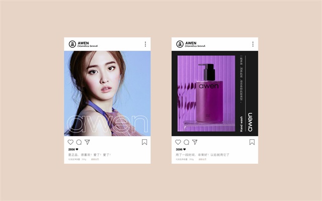深圳化妝品品牌設計案例-愛文化妝品logo設計/VI設計