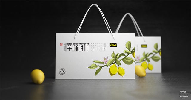 匯達檸檬食品品牌全案策劃_重慶藍鷹智業品牌營銷策劃公司案例