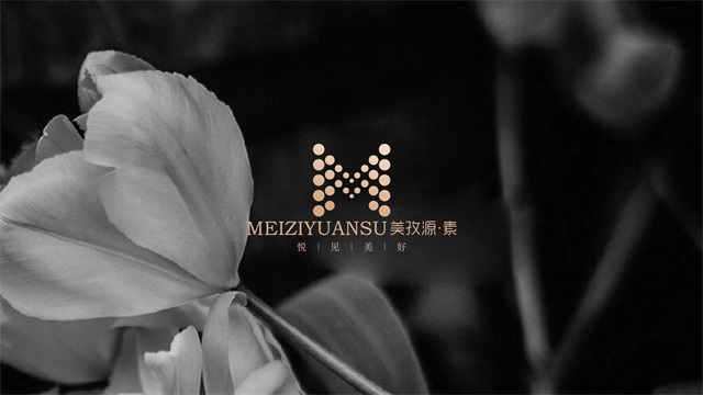 美孜源素美業美容品牌設計_武漢核心點營銷策劃有限公司案例