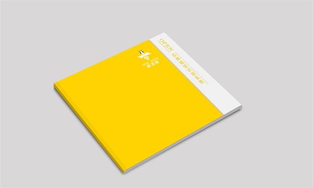 新維度品牌形象設計IP設計案例
