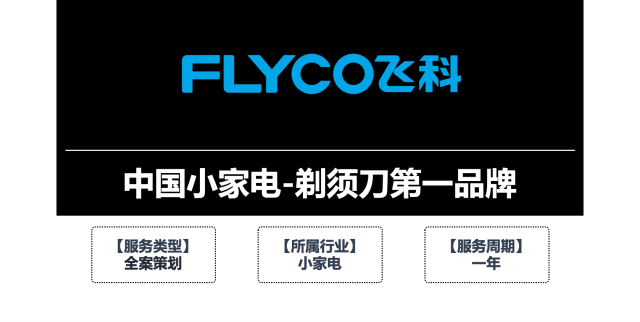 飛科電器品牌營銷策劃案例