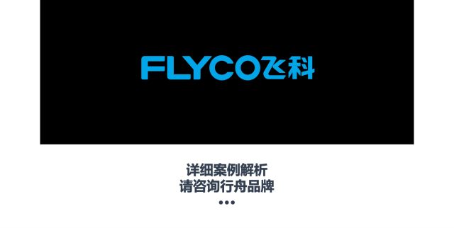 飛科電器品牌營銷策劃案例