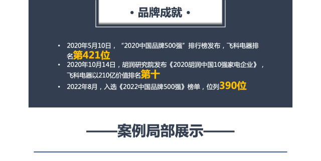 飛科電器品牌營銷策劃案例