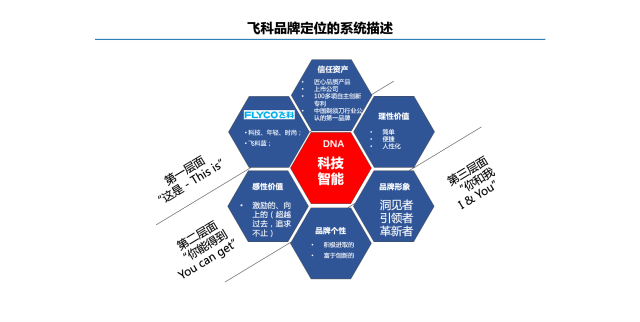 飛科電器品牌營銷策劃案例