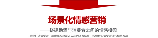 勁酒品牌策劃推廣_重慶品牌營銷策劃公司案例
