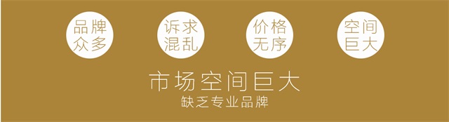 長石河谷空氣凈化器品牌策劃_重慶電器品牌營銷策劃公司案例