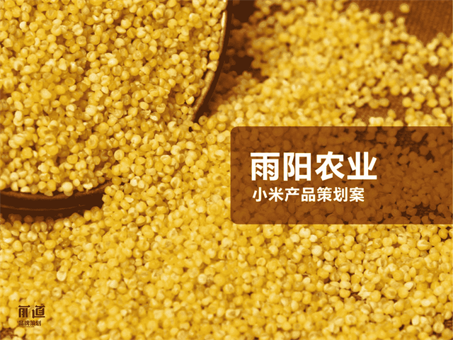 好家米小米品牌策劃_西安食品品牌策劃公司案例