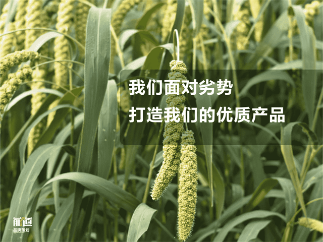 好家米小米品牌策劃_西安食品品牌策劃公司案例