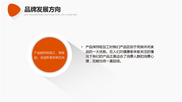 衛大姐休閑零食品牌策劃_西安食品品牌策劃公司案例