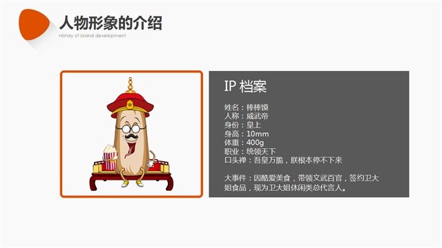 衛大姐休閑零食品牌策劃_西安食品品牌策劃公司案例