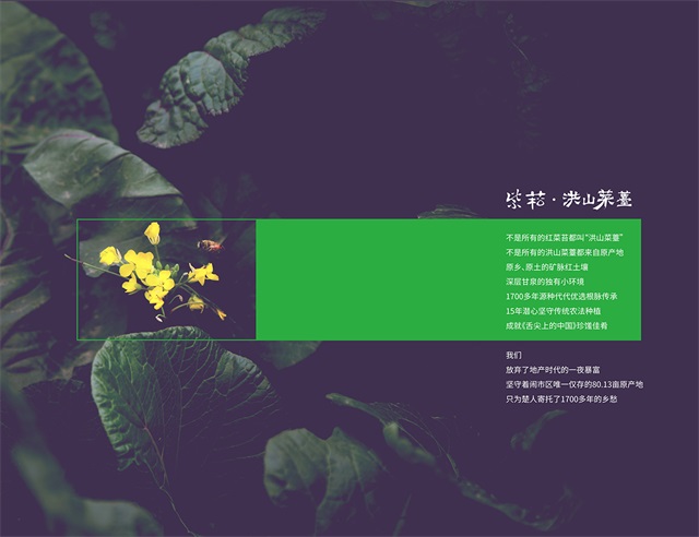 洪山菜薹蔬菜品牌策劃_武漢農產品品牌策劃公司案例