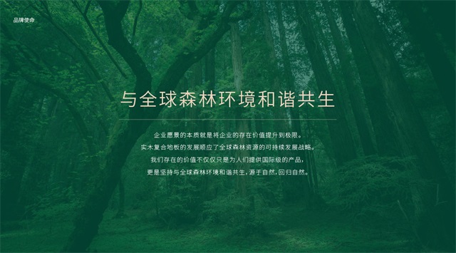 朗穆地板品牌策劃全案_南京建材品牌策劃公司案例