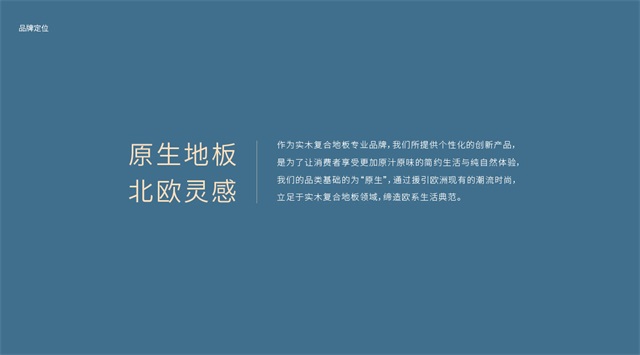 朗穆地板品牌策劃全案_南京建材品牌策劃公司案例