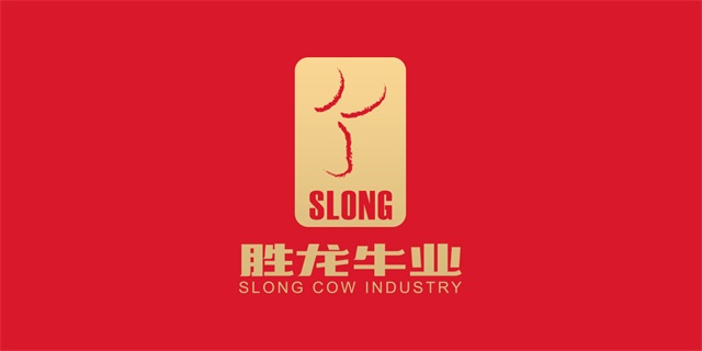 勝龍牛業牛肉品牌策劃設計_廣州生鮮食品品牌策劃公司案例
