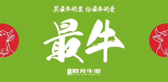 勝龍牛業牛肉品牌策劃設計_廣州生鮮食品品牌策劃公司案例