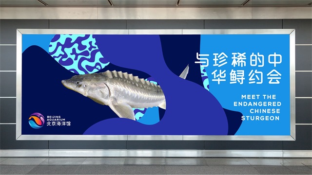 北京海洋館品牌vi設計重塑_上海品牌策劃設計公司案例