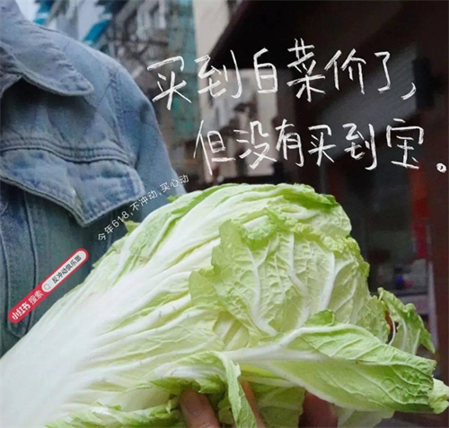 2023上半年優秀品牌營銷策劃案例賞析