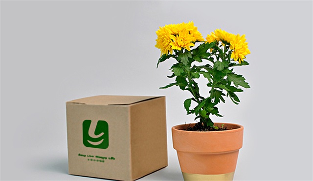懶人福品牌設計