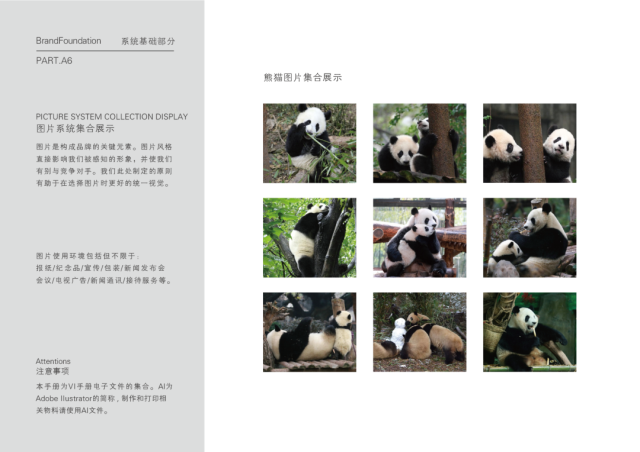 成都大熊貓繁育研究基地品牌VI設計