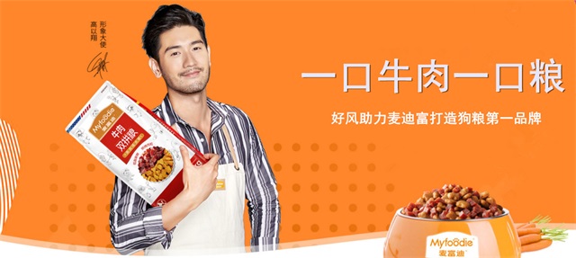 麥富迪品牌策劃