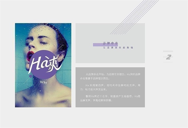 HA爽塑料制品品牌策劃